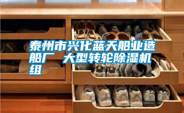 泰州市興化藍天船業造船廠 大型轉輪除濕機組