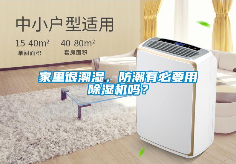 家里很潮濕，防潮有必要用除濕機嗎？