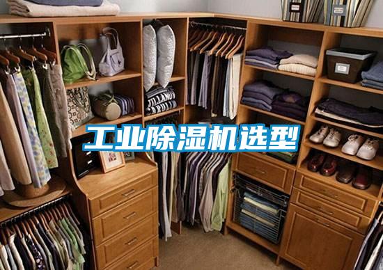 工業除濕機選型