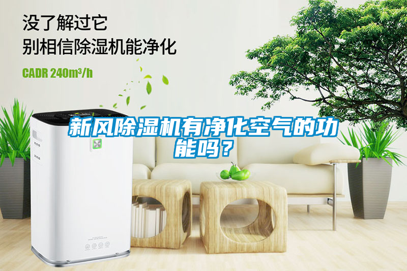 新風(fēng)除濕機(jī)有凈化空氣的功能嗎？