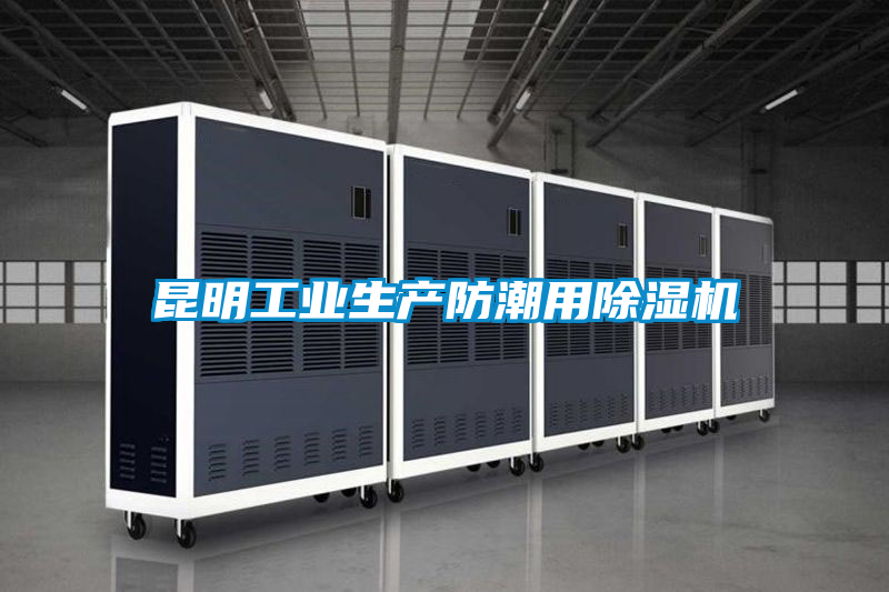 昆明工業生產防潮用除濕機