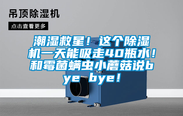 潮濕救星！這個除濕機一天能吸走40瓶水！和霉菌螨蟲小蘑菇說bye bye！