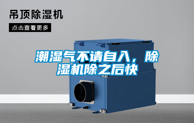 潮濕氣不請自入，除濕機(jī)除之后快