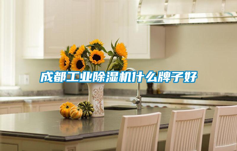 成都工業(yè)除濕機什么牌子好