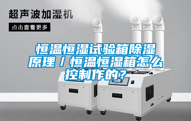 恒溫恒濕試驗箱除濕原理／恒溫恒濕箱怎么控制作的？