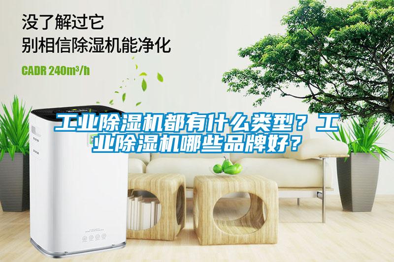 工業除濕機都有什么類型？工業除濕機哪些品牌好？