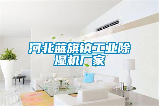 河北藍旗鎮工業除濕機廠家