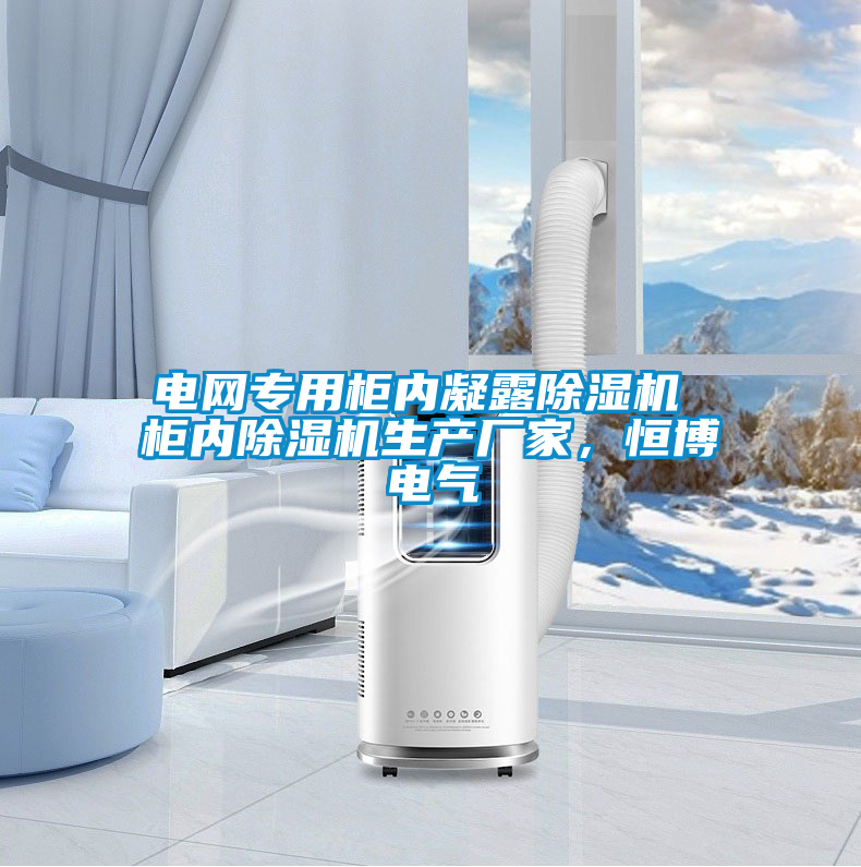電網(wǎng)專用柜內(nèi)凝露除濕機(jī) 柜內(nèi)除濕機(jī)生產(chǎn)廠家，恒博電氣