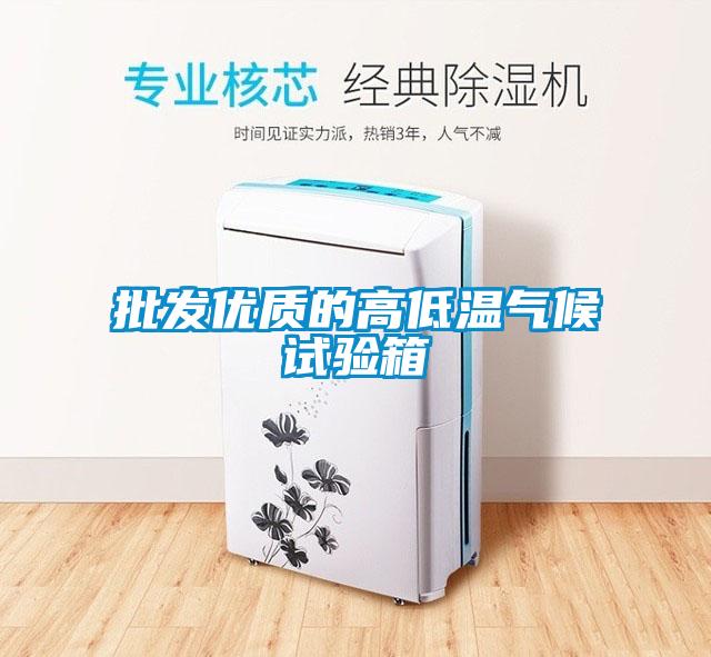 批發(fā)優(yōu)質(zhì)的高低溫氣候試驗箱
