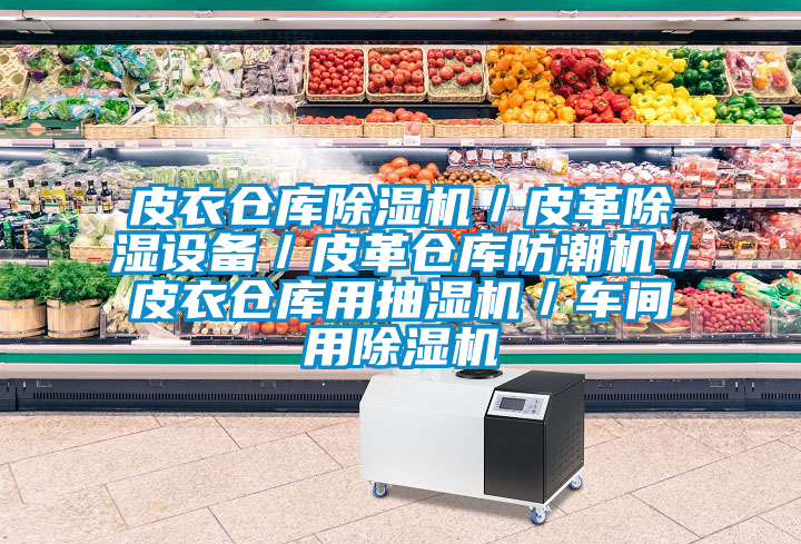 皮衣倉庫除濕機／皮革除濕設(shè)備／皮革倉庫防潮機／皮衣倉庫用抽濕機／車間用除濕機