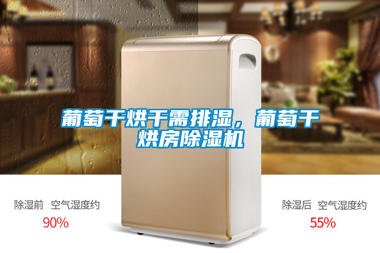 葡萄干烘干需排濕，葡萄干烘房除濕機