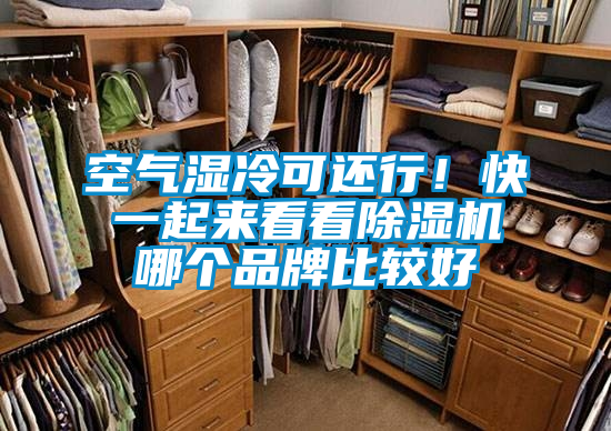 空氣濕冷可還行！快一起來看看除濕機哪個品牌比較好