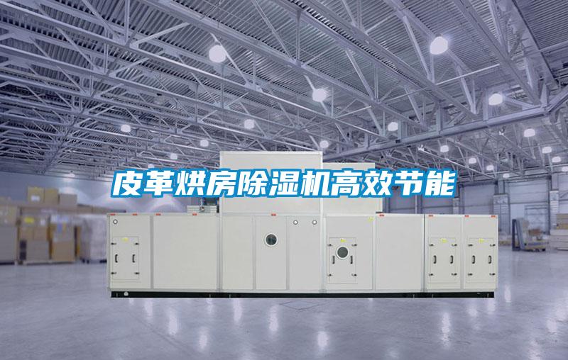 皮革烘房除濕機高效節能
