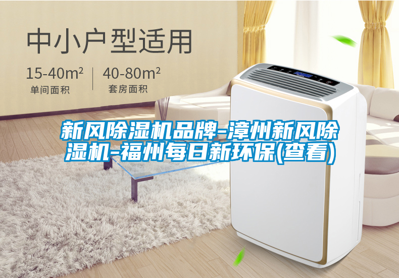 新風(fēng)除濕機品牌-漳州新風(fēng)除濕機-福州每日新環(huán)保(查看)