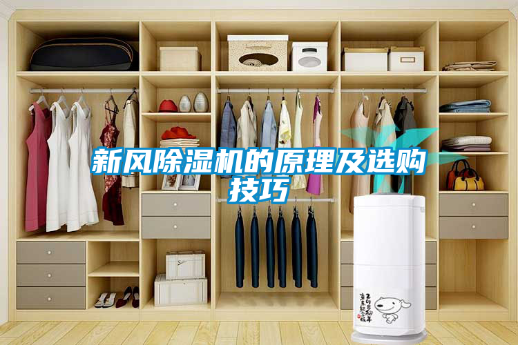 新風(fēng)除濕機的原理及選購技巧