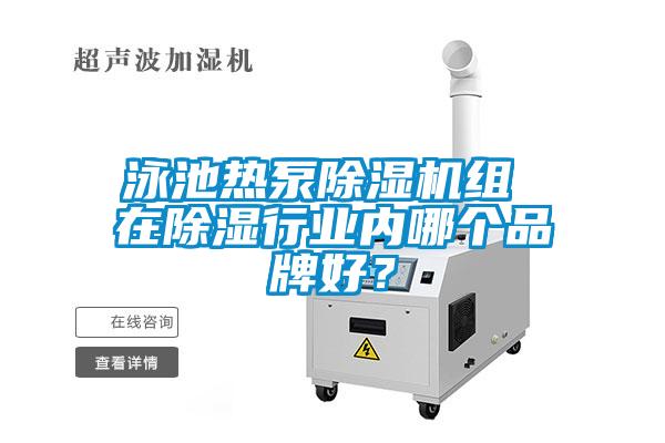 泳池熱泵除濕機組 在除濕行業內哪個品牌好？