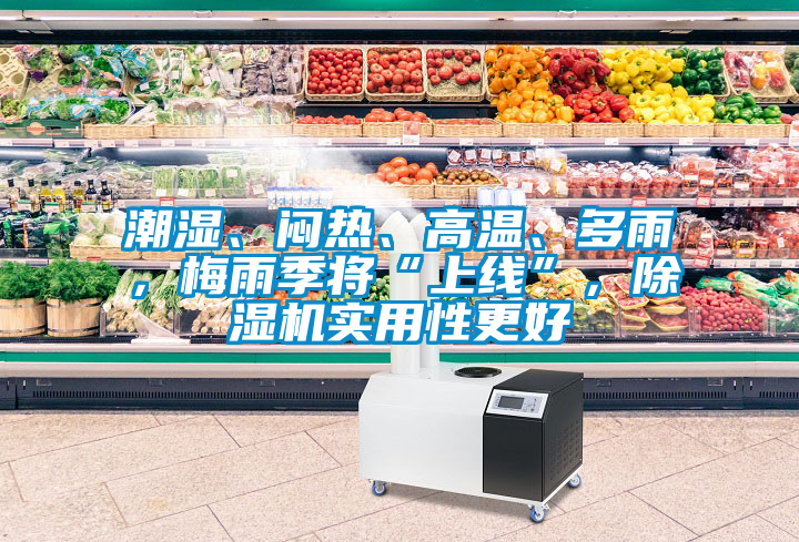 潮濕、悶熱、高溫、多雨，梅雨季將“上線”，除濕機(jī)實(shí)用性更好