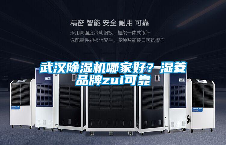 武漢除濕機哪家好？濕菱品牌zui可靠