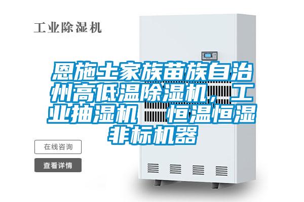 恩施土家族苗族自治州高低溫除濕機，工業抽濕機  恒溫恒濕非標機器