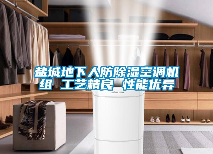 鹽城地下人防除濕空調(diào)機組 工藝精良 性能優(yōu)異