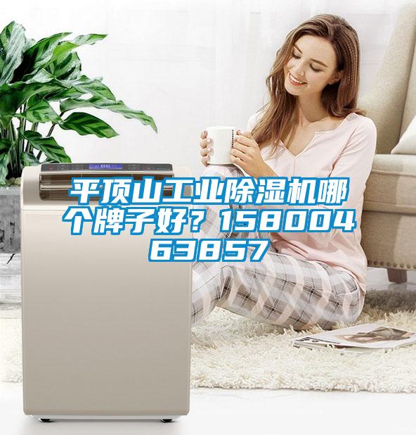 平頂山工業(yè)除濕機(jī)哪個(gè)牌子好？15800463857
