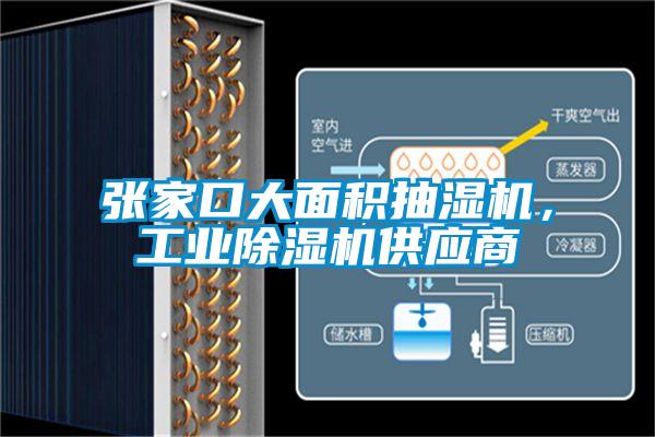 張家口大面積抽濕機，工業除濕機供應商