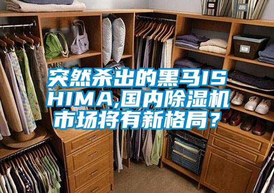 突然殺出的黑馬ISHIMA,國內(nèi)除濕機(jī)市場將有新格局？