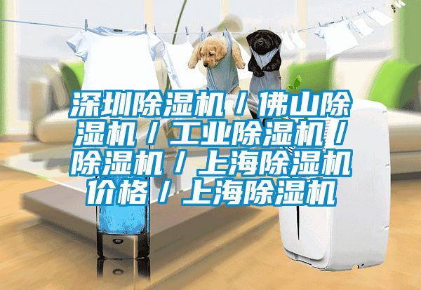 深圳除濕機／佛山除濕機／工業(yè)除濕機／除濕機／上海除濕機價格／上海除濕機