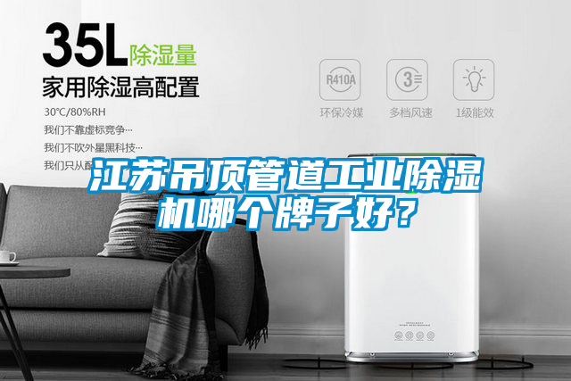 江蘇吊頂管道工業(yè)除濕機(jī)哪個(gè)牌子好？