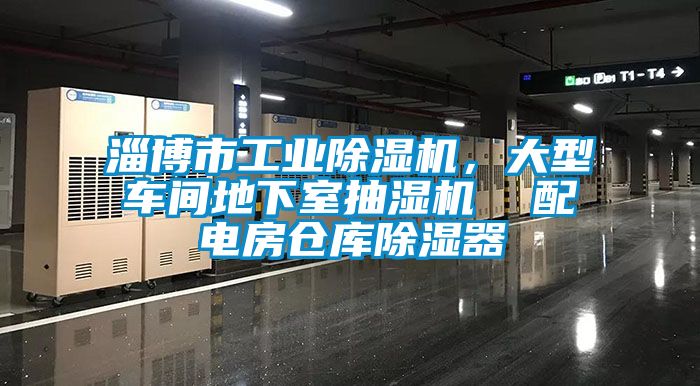 淄博市工業(yè)除濕機(jī)，大型車間地下室抽濕機(jī)  配電房倉庫除濕器
