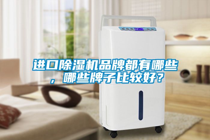 進口除濕機品牌都有哪些，哪些牌子比較好？