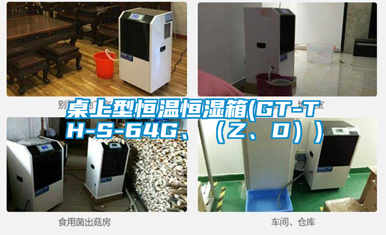 桌上型恒溫恒濕箱(GT-TH-S-64G、（Z、D）)