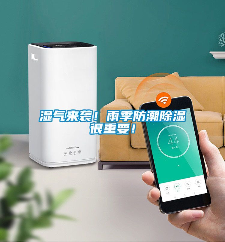 濕氣來襲！雨季防潮除濕很重要！