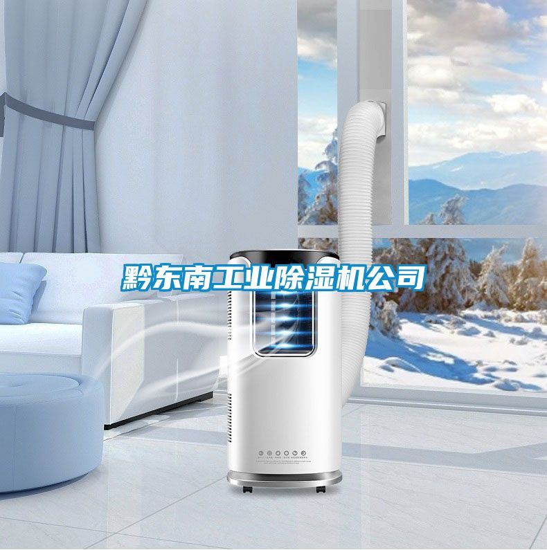 黔東南工業(yè)除濕機公司