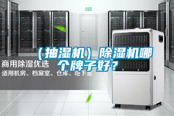 (抽濕機(jī))除濕機(jī)哪個(gè)牌子好?