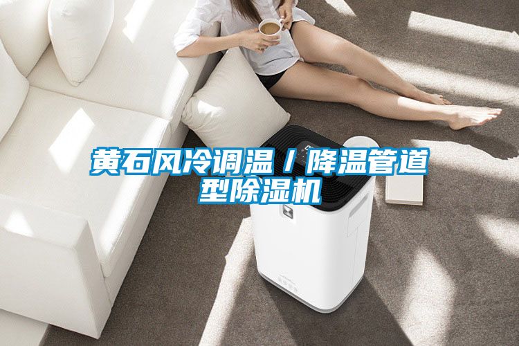 黃石風冷調溫/降溫管道型除濕機